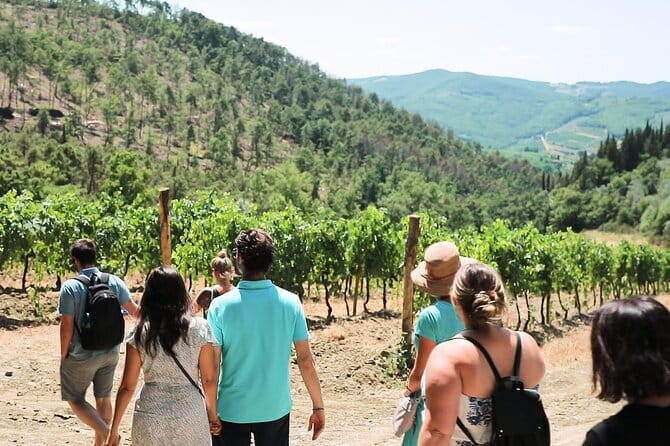 Chianti Wine Tour: Two Wine Tastings, Vineyards and Cellar Visit - Following Via Chiantigiana into the hills