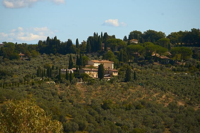 Chianti Wine Tour with Tastings Semi-Private Experience - What this Chianti day trip feels like