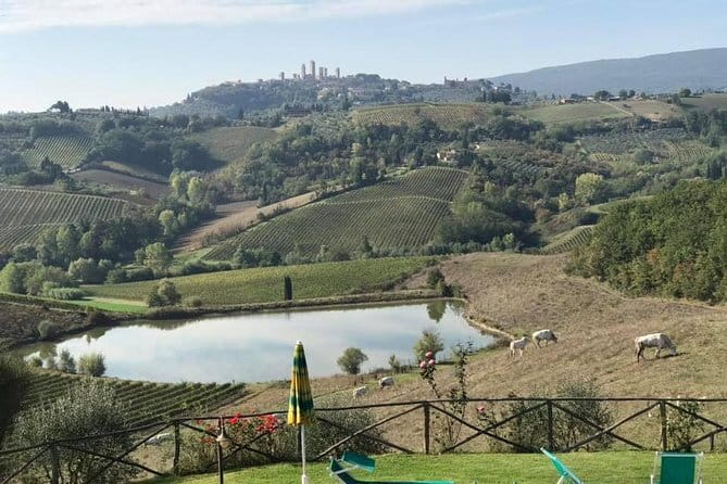 Chianti Wineries Tour with Tuscan Lunch and San Gimignano - San Gimignano in 90 minutes