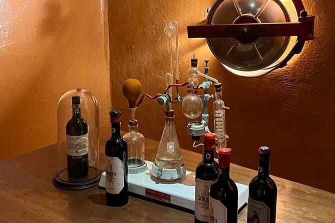 Chianti Winery + Brolio Castle Private Tour - Leaving Florence in a private vehicle