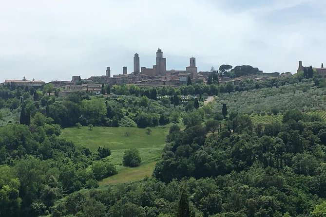 Chianti Wines and San Gimignano Tour from Florence (1 Winery) - Booking details and cancellation