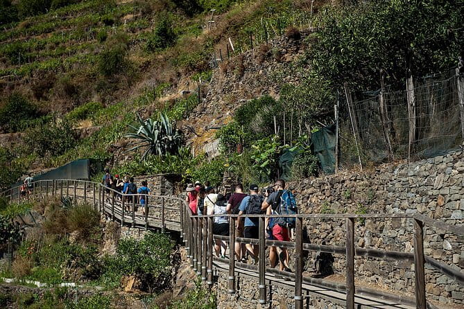 Cinque Terre Day Trip with Optional Hiking or Pisa - The guided hike to Corniglia and Vernazza
