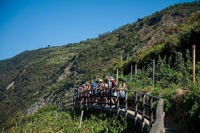 Cinque Terre Day Trip with Optional Hiking or Pisa - Manarola, where the hills meet the harbor
