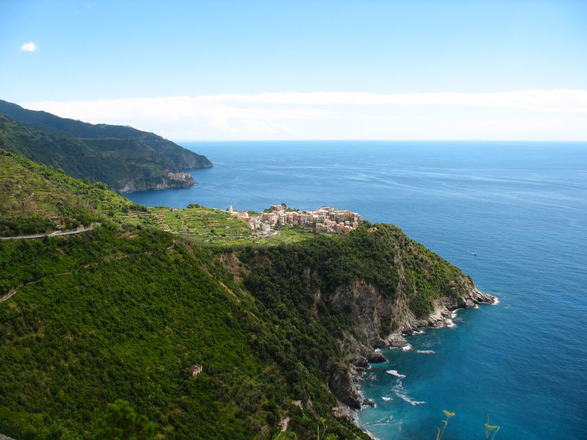 Cinque Terre Private Day Trip from Florence - What the guides add to the day