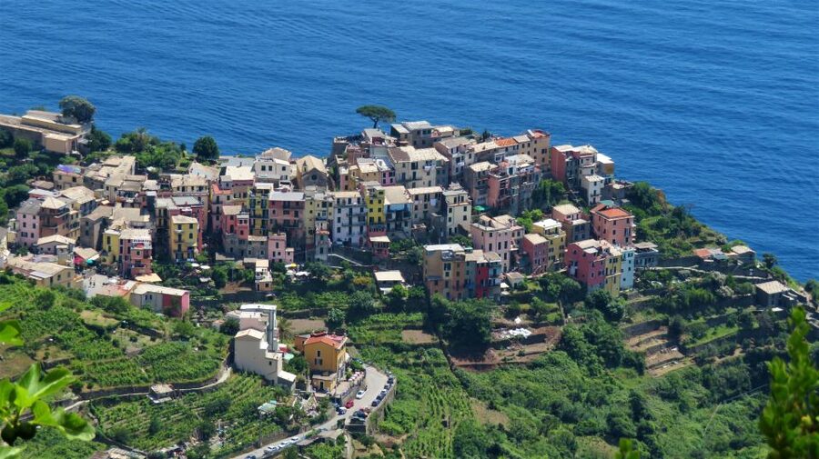 Cinque Terre Private Day Trip from Florence - Walking, comfort, and the real physical demands