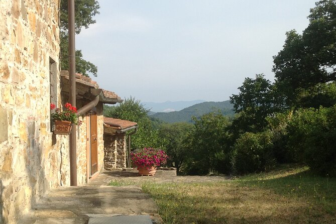 Cooking Class for Pasta Lovers in Florence Country House - Lunch on the terrace