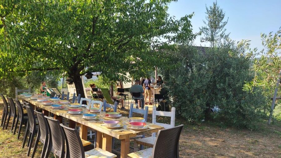 Cooking class in our family farm in Chianti with lunch - Lunch above the vineyards and olive trees