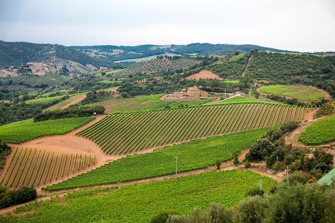 Day Trip Pisa, Siena, San Gimignano. - Key points to know