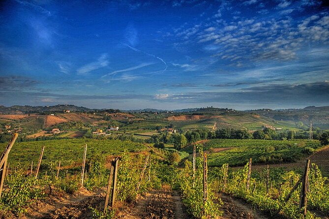 Day Trip Pisa, Siena, San Gimignano. - Guides, commentary, and the private format