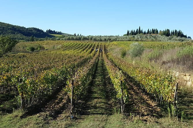 Discover Chianti Through its Wines - Inside the fermentation room and aging cellar