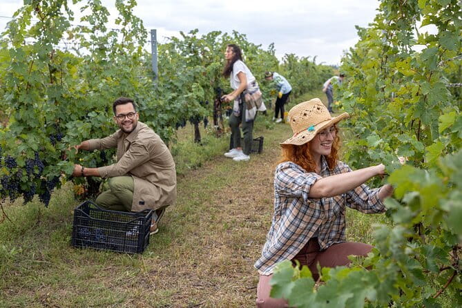 Discover Chianti Through its Wines - Who will get the most from this wine experience