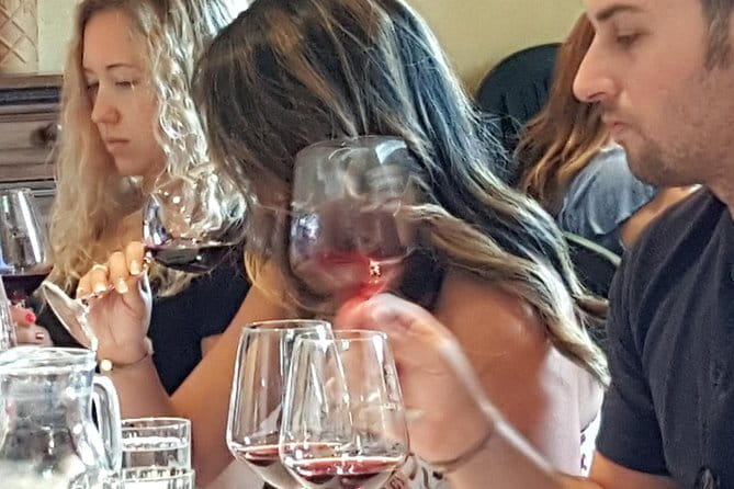 Discover Chianti Through its Wines - Walking through vines, olive trees, and Chianti country