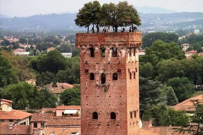 Discover Lucca and Pisa and Enjoy Buccellato Cake: Full Day Tour - What the $180.99 price is really buying