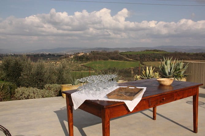 Discover Organic and Biodynamic Chianti Small Wineries - Tastings with food, not wine in isolation