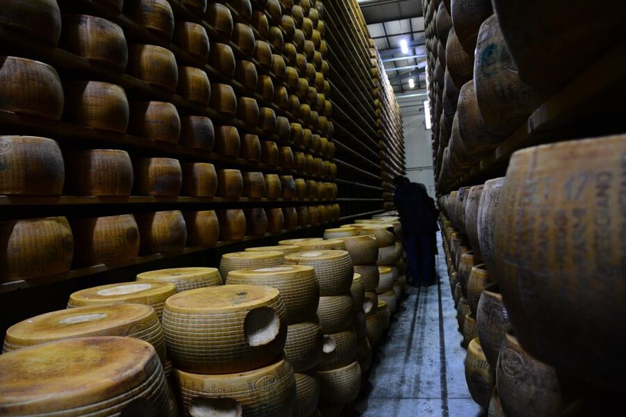 Emila-Romagna: Parmigiano, Prosciutto, Wine & Balsamic Tour - Why this food day trip is worth your time