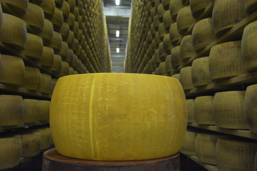 Emila-Romagna: Parmigiano, Prosciutto, Wine & Balsamic Tour - Balsamic vinegar and lunch at Villabianca