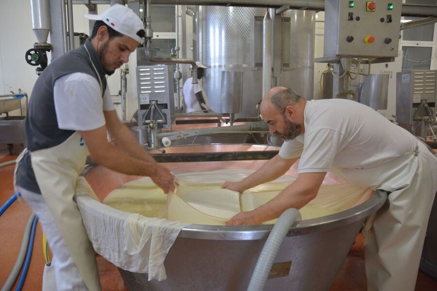 Emila-Romagna: Parmigiano, Prosciutto, Wine & Balsamic Tour - Prosciutto at Casona