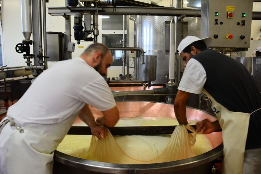 Emila-Romagna: Parmigiano, Prosciutto, Wine & Balsamic Tour - The guide makes the private format useful