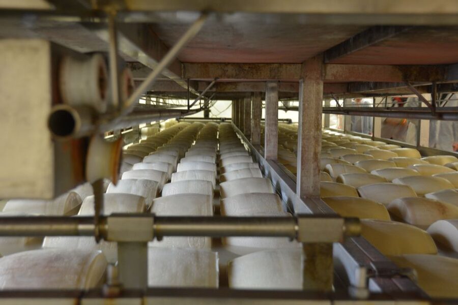 Emila-Romagna: Parmigiano, Prosciutto, Wine & Balsamic Tour - How much food should you expect?