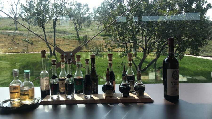 Emila-Romagna: Parmigiano, Prosciutto, Wine & Balsamic Tour - Who will enjoy this tour most?