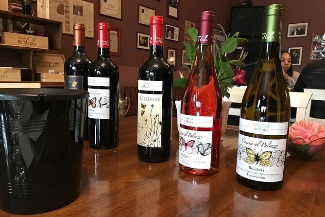 Exclusive Bolgheri from Florence: The Land of the Super Tuscan - Castagneto Carducci and the second tasting