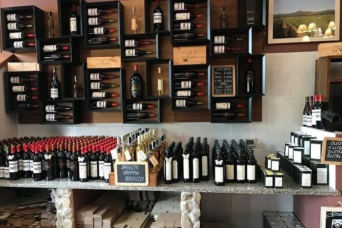Exclusive Bolgheri from Florence: The Land of the Super Tuscan - The first winery: from grapevines to the aging room