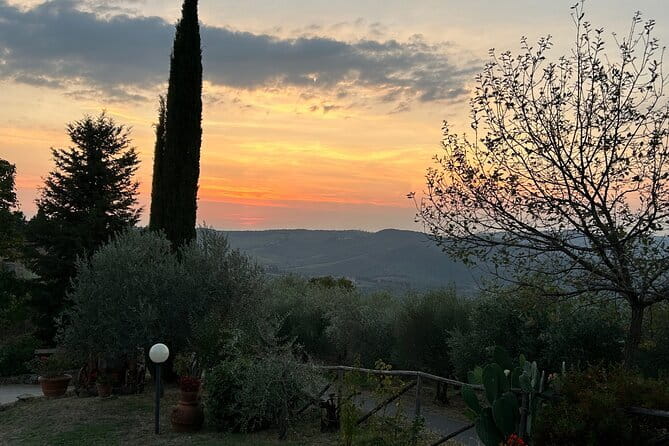 Exclusive Chianti Classico Day Trip from Florence - Why this Chianti day trip works well from Florence