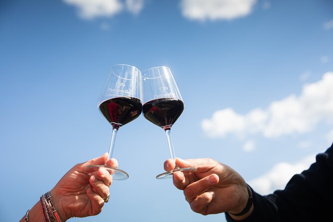 Exclusive lunch, Winery tour, Organic wines in Chianti Classico - Tasting organic wines with Tuscan olive oil
