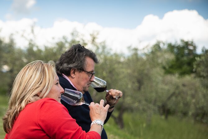 Exclusive lunch, Winery tour, Organic wines in Chianti Classico - Who will enjoy Panzanello most