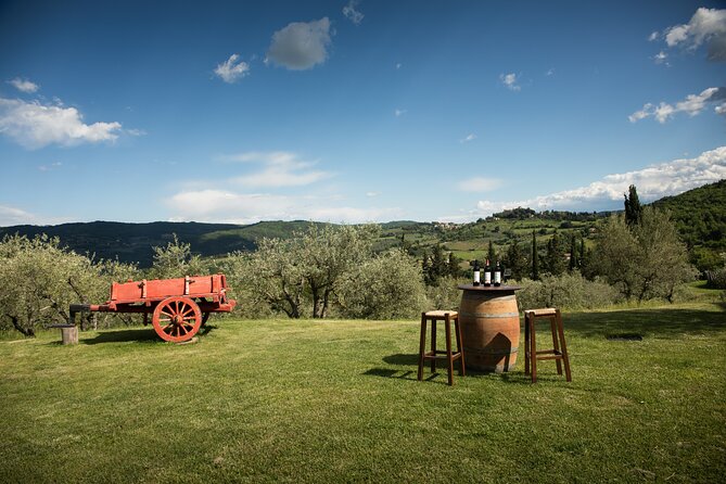 Exclusive lunch, Winery tour, Organic wines in Chianti Classico - Walking through the winery and its Chianti traditions