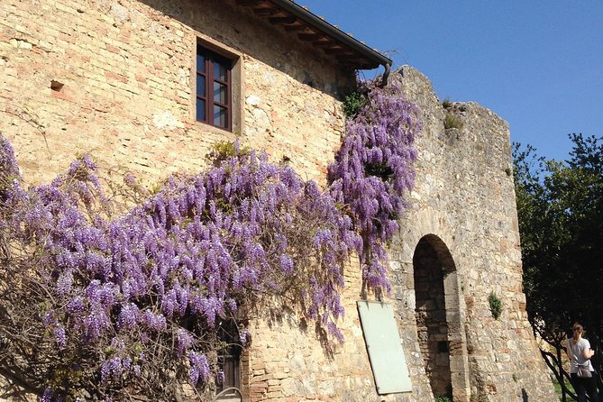 Exclusive Private tour To Siena and San Gimignano - Why a private ride makes Tuscany easier