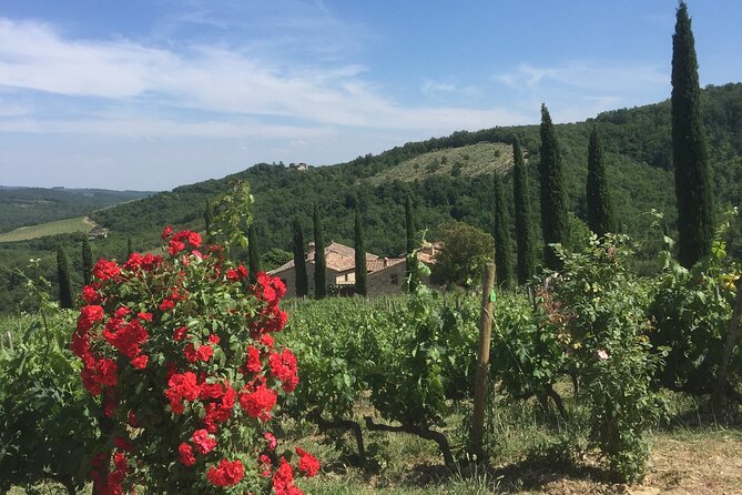 Exclusive Private tour To Siena and San Gimignano - Should you book it?