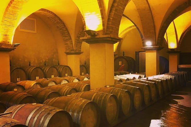 Exclusive Private Tuscany Wine Tour & Food Pairing Session - Key points to know before booking