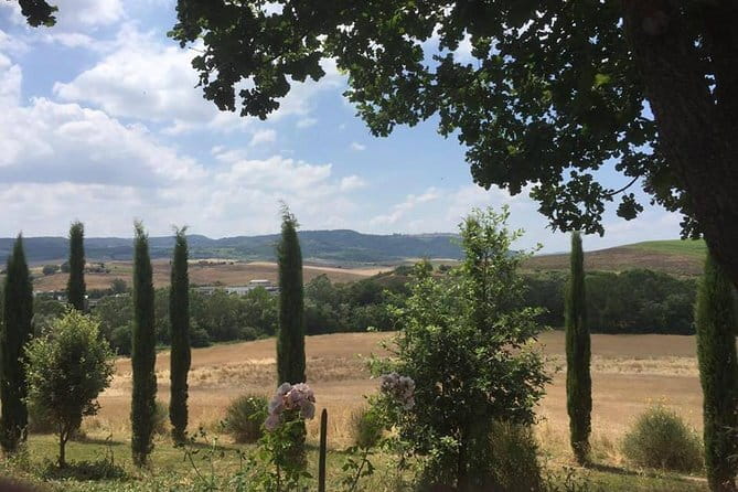 Exclusive Private Tuscany Wine Tour & Food Pairing Session - A private tour with a little flexibility, but clear limits