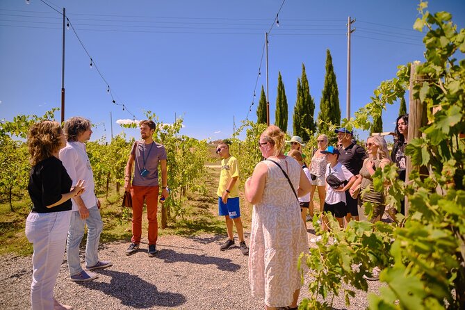 Exclusive Siena and San Gimignano Tour & Chianti Wine Experience - A big Tuscan day from Florence