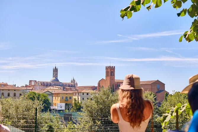 Exclusive Siena and San Gimignano Tour & Chianti Wine Experience - Who will get the most from this tour?