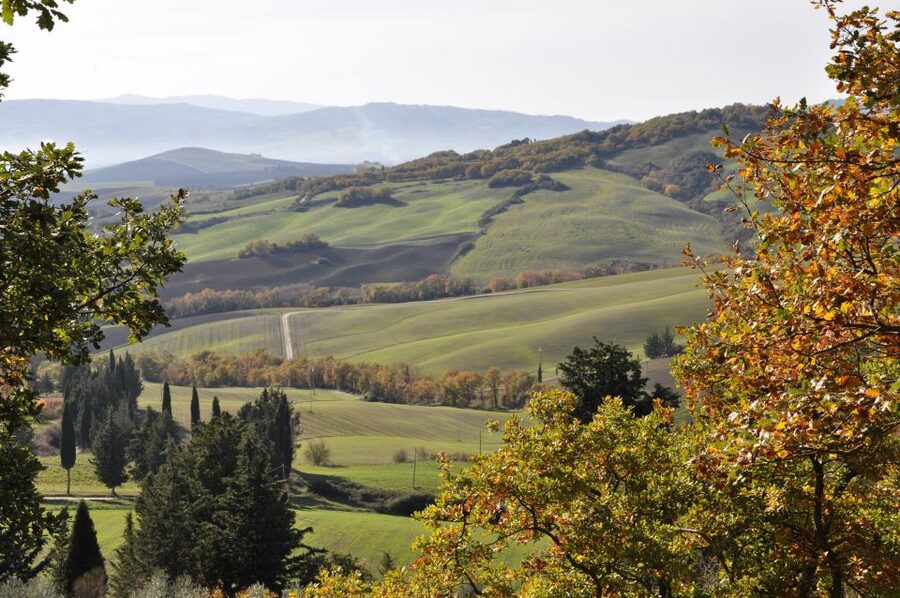 Exclusive Val d’Orcia Full-Day Wine Tour from Florence - Why Val d’Orcia makes a better wine day than a quick tasting