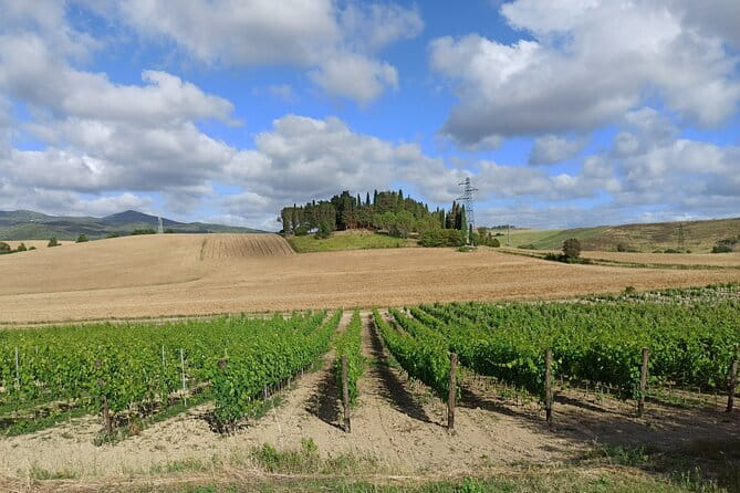 EXCLUSIVE Wine Tour in Chianti & San Gimignano (Lunch & Wine Tasting included) - San Gimignano and its medieval towers