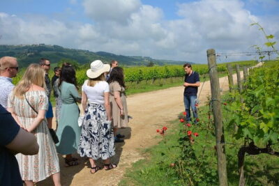 Experience Chianti & Cheese w/ 3 wineries & dairy visit—max 8 pp