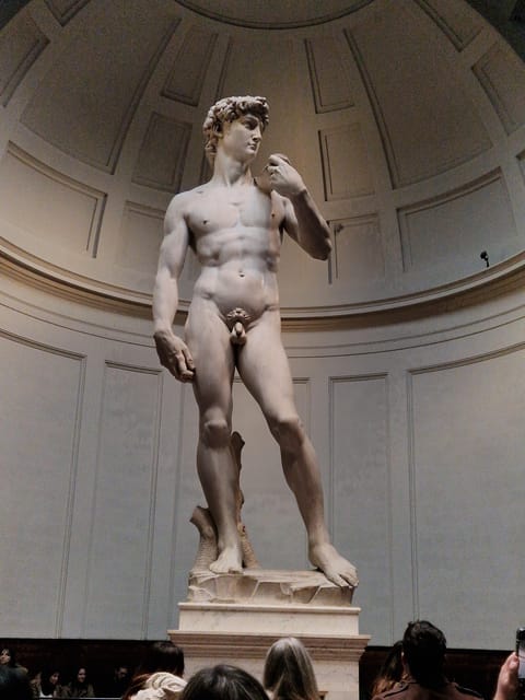 Explore Accademia Gallery on Free Museum Day - How to fit Free Museum Day into your Florence plan