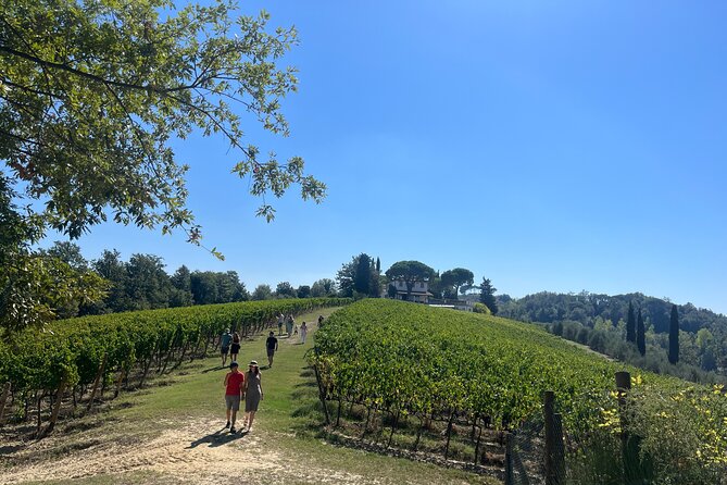 Farm To table Experience on an organic hilltop estate in Tuscany - Tenuta Chiudendone, a working organic estate