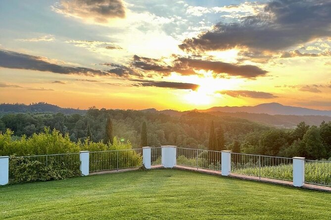 Farm To table Experience on an organic hilltop estate in Tuscany - What the $193.50 price really covers