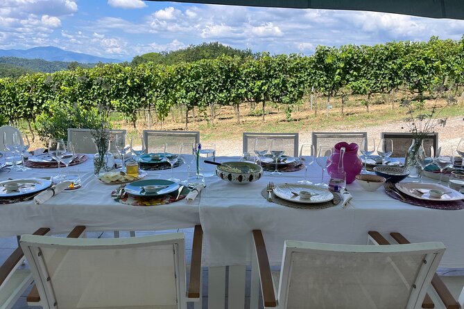 Farm To table Experience on an organic hilltop estate in Tuscany - Timing, weather, and practical planning