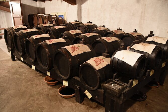 Ferrari Parmesan Cheese Balsamic Vinegar wine & food PRIVATE TOUR from FLORENCE - Who will enjoy this day most