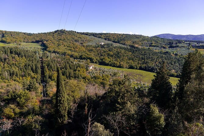 Fiesole Hike & Italian Aperitivo - Price, timing, and overall value