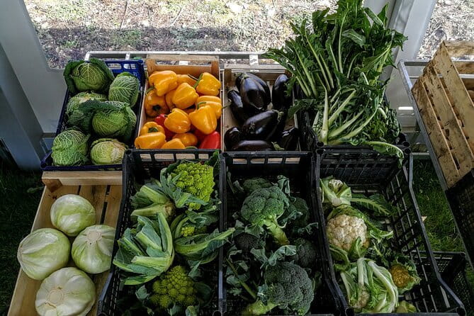 Fiesole: Tuscan Countryside Half Day E-Bike Tour & Farm visit - The Tuscan countryside beyond the city