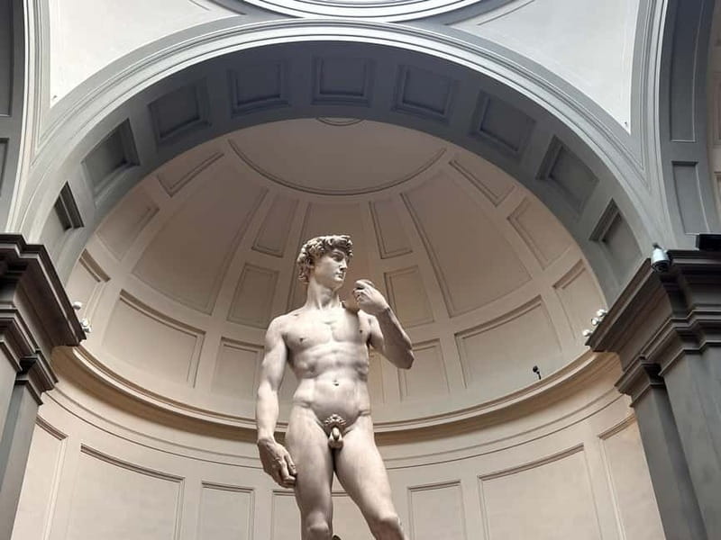 Florence: Accademia and David Entrance Ticket with a Host - Accessibility and what to bring