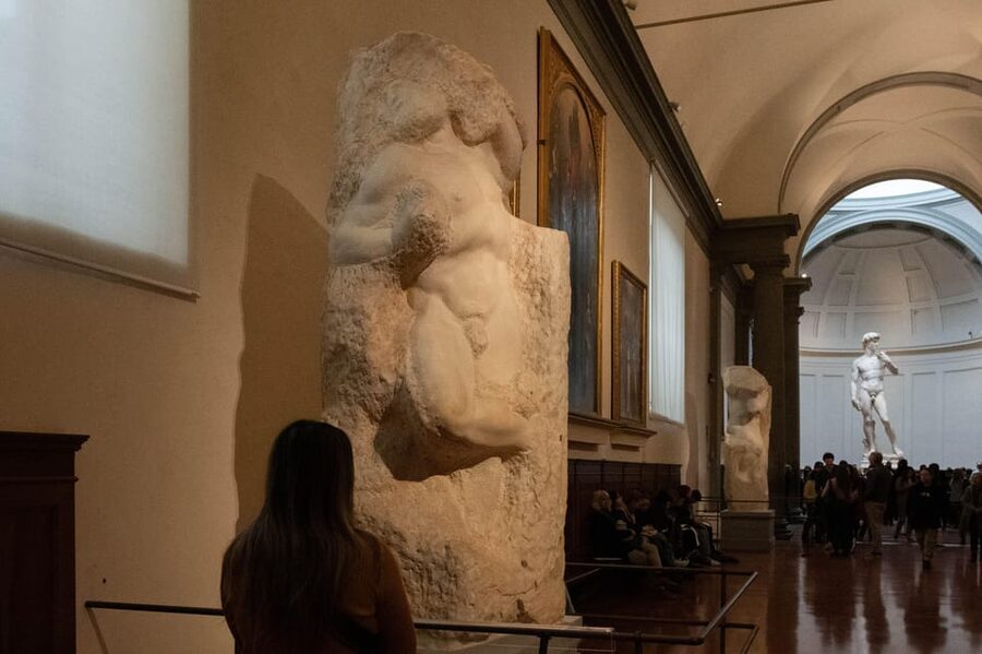 Florence: Accademia Ticket & Audio Guided Tour with Host - Giambologna and the other works