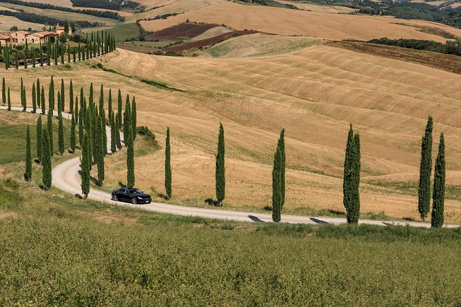 Florence Airport Private Departure Transfer - What the ride feels like in practice