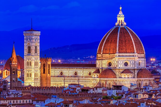 Florence Airport Private Departure Transfer - Luggage, children, and pets